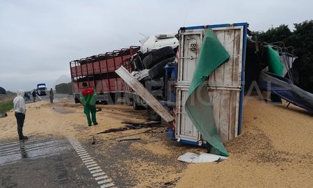 El acoplado llevaba cereales y quedó desparramado sobre la calzada. El acoplado llevaba cereales y quedó desparramado sobre la calzada.