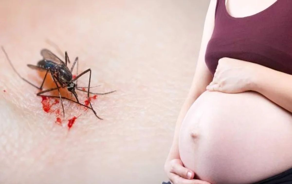 Córdoba: murió una joven por dengue hemorrágico luego de dar a luz