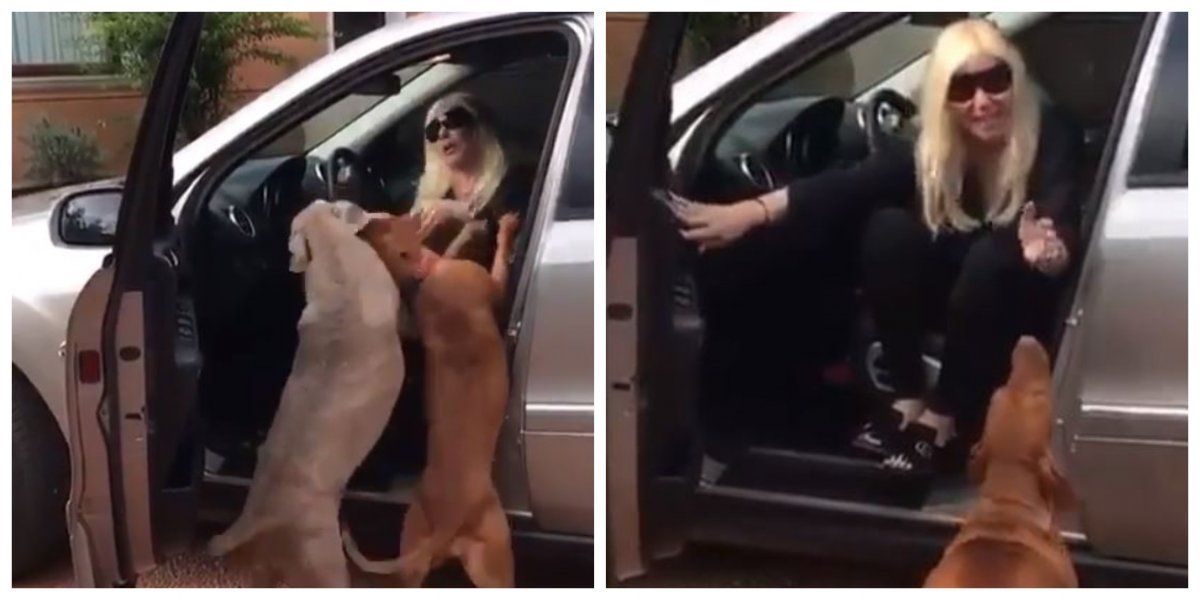 La increíble reacción de los perros de Susana Giménez al verla