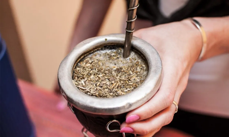 Pasión, saber y futuro: abrió la primera Escuela Argentina de Yerba Mate Pasión, saber y futuro: abrió la primera Escuela Argentina de Yerba Mate