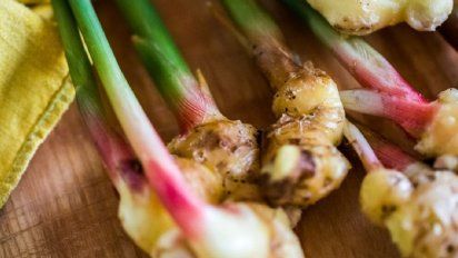 Cómo cultivar jengibre en casa de forma fácil y rápida