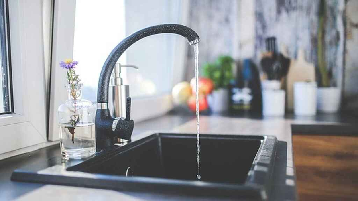 ¿Cómo eliminar las molestas mosquitas que aparecen en la cocina?