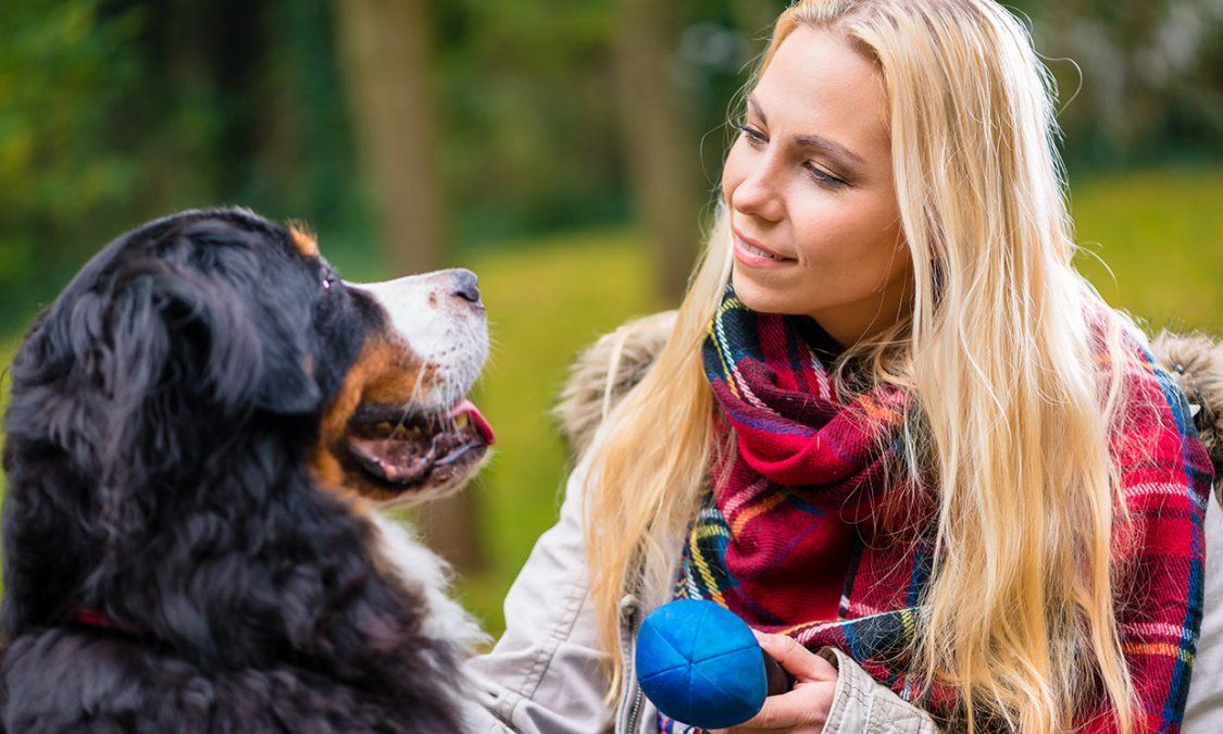 ¿Sabías que la personalidad de los perros también cambia a lo largo de la vida?