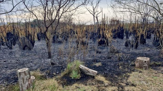 Se incendió la Reserva Natural Urbana del Oeste en Santa Fe y el Concejo convocó a funcionarios.&nbsp;