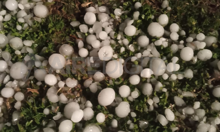 El granizo que cayó en Saladero Cabal tenía el tamaño de pelotas de golf. El granizo que cayó en Saladero Cabal tenía el tamaño de pelotas de golf.