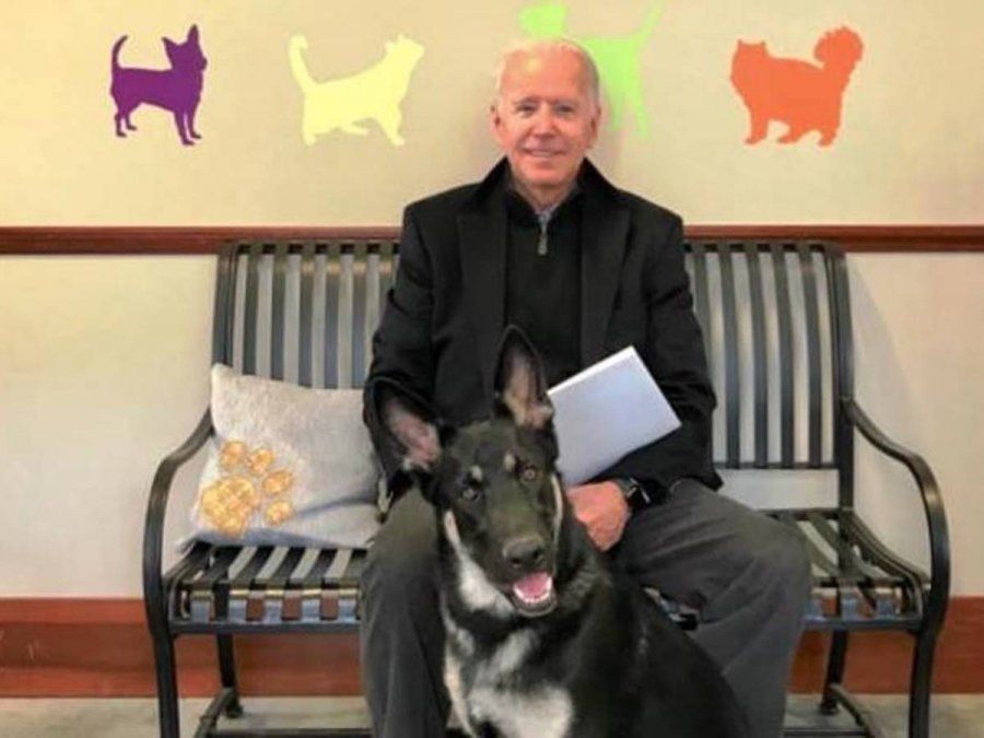 El perro de Biden mordió a una persona en la Casa Blanca&nbsp;