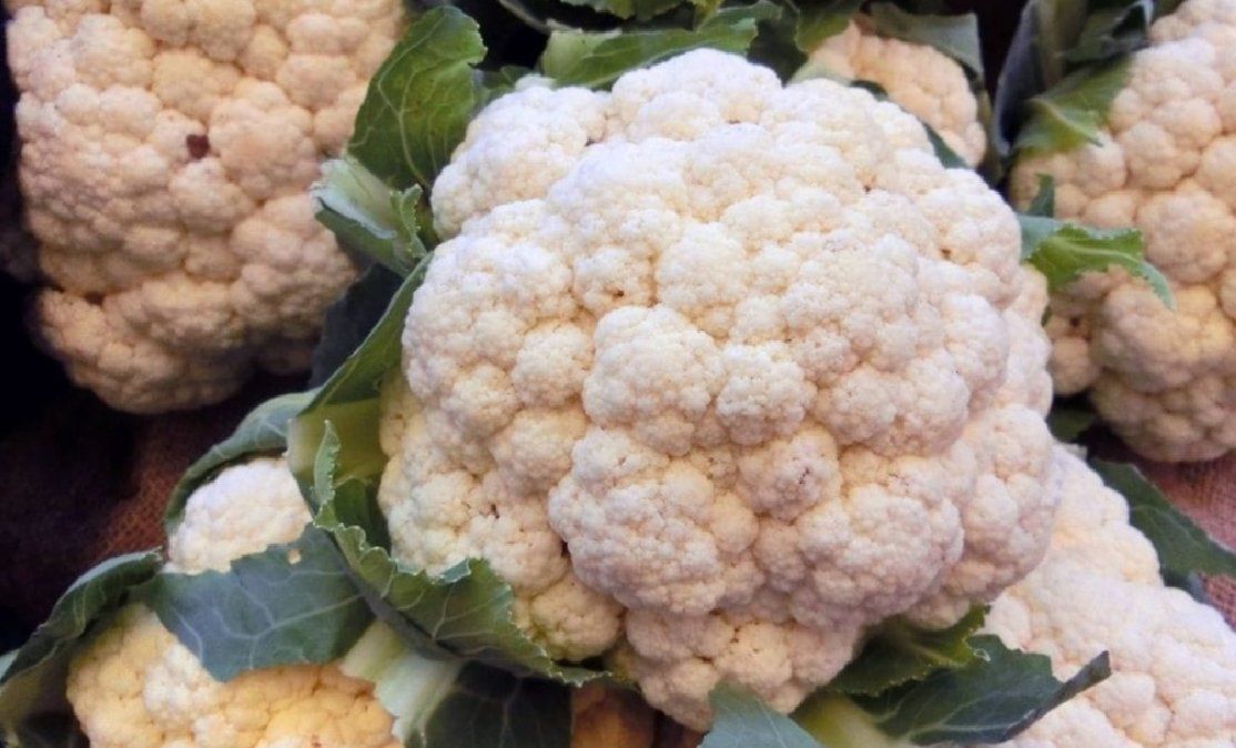La coliflor protege al sistema inmunitario de nuestro organismo