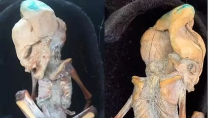 La impactante revelación de los científicos sobre el 