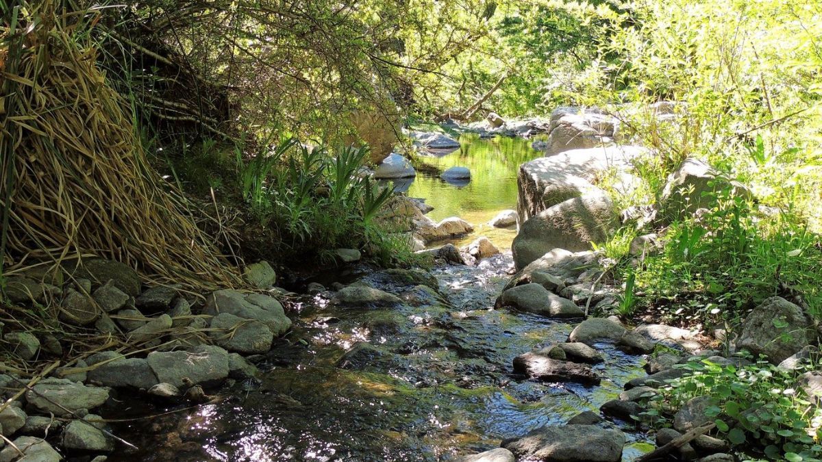 Escapada a la reserva ecológica Vaquerías