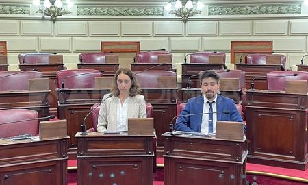 Cristina Ferraro se defendió ante miembros de la Comisión de Acuerdos de la Legislatura de Santa Fe. Cristina Ferraro se defendió ante miembros de la Comisión de Acuerdos de la Legislatura de Santa Fe.