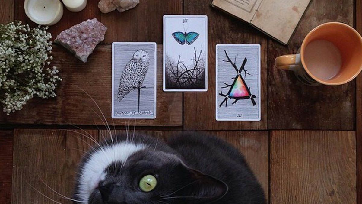 Tarot semanal