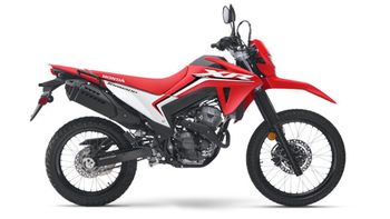 Cuánto sale la Honda XR300L Tornado en enero 2026 en la Argentina