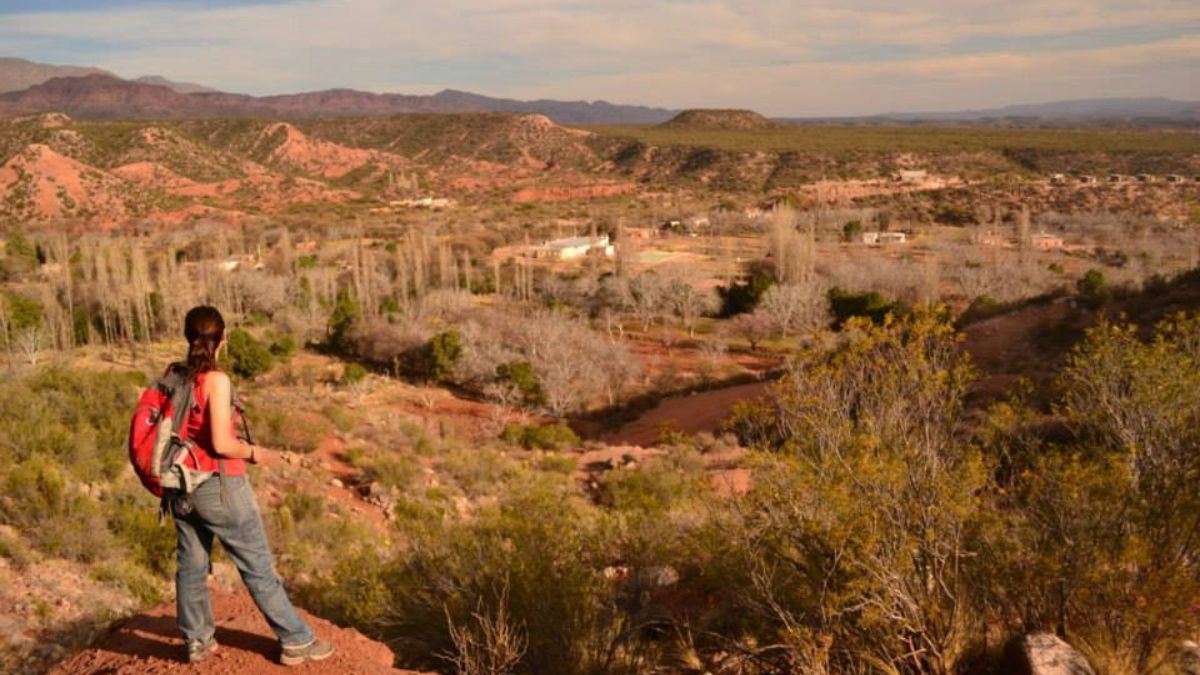 La cosecha de nueces representa uno de los pilares económicos del pueblo