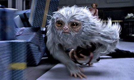 bbc explorara las criaturas que inspiraron animales fantasticos bbc explorara las criaturas que inspiraron animales fantasticos