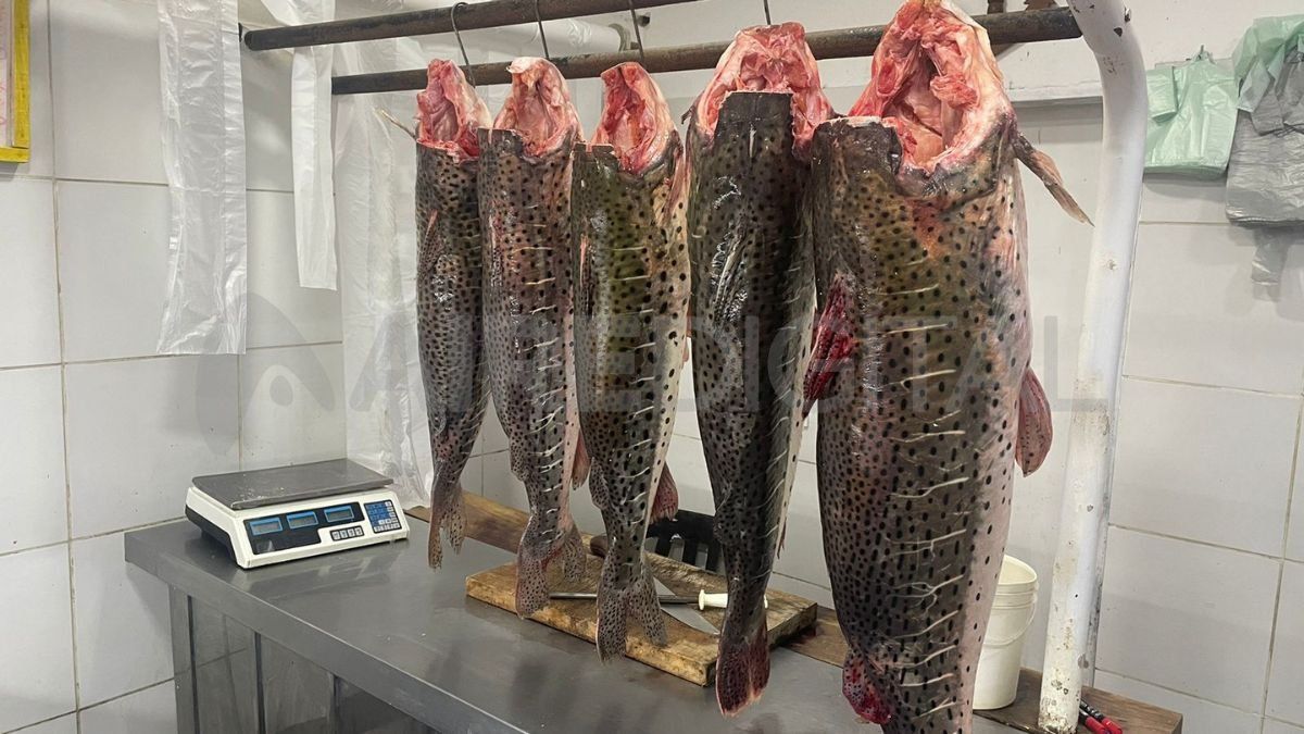 Con una gran variedad de menús