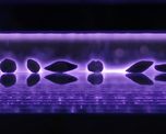 plasma no termico: una tecnologia nacida en el conicet que busca cambiar el tratamiento de semillas plasma no termico: una tecnologia nacida en el conicet que busca cambiar el tratamiento de semillas