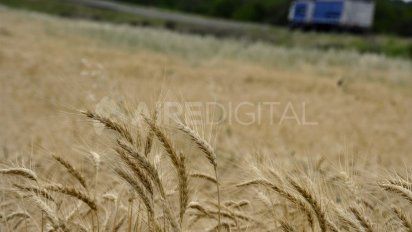 Aire de Santa Fe | Agricultura 1.jpg