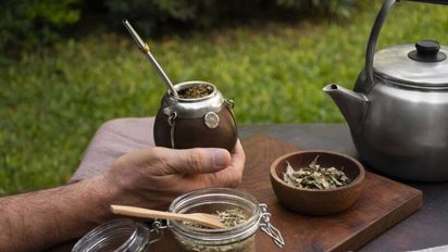El secreto del mate perfecto: 3 plantas de las orillas de Santa Fe para tener en tu maceta