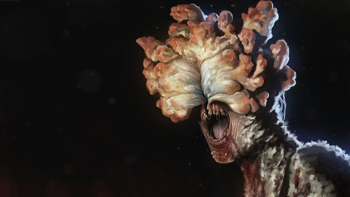 Hallaron una tarántula poseída por el hongo de The Last of Us y los científicos temen que evolucione e infecte a humanos