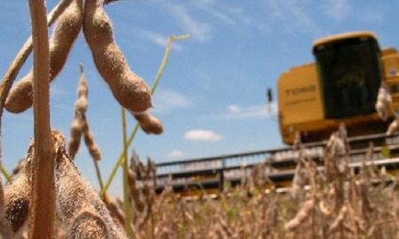 Apenas un 4,2 % de la superficie agrícola argentina tiene sistemas de riego, por lo que una gran parte depende del aporte de las lluvias. Apenas un 4,2 % de la superficie agrícola argentina tiene sistemas de riego, por lo que una gran parte depende del aporte de las lluvias.