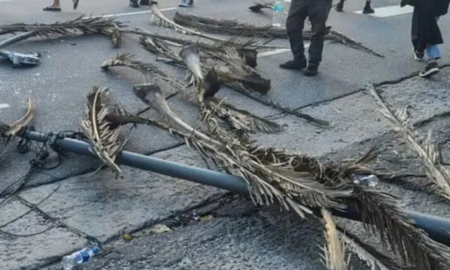 El hecho ocurrió en pleno centro de la ciudad y generó mucha preocupación. El hecho ocurrió en pleno centro de la ciudad y generó mucha preocupación.