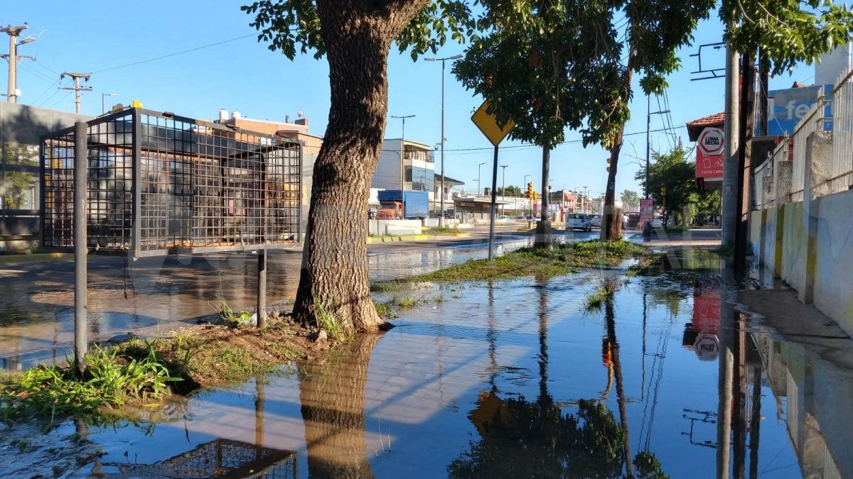 La vereda de la Escuela Juan de Garay de la ciudad de Santa Fe está inundada.&nbsp;