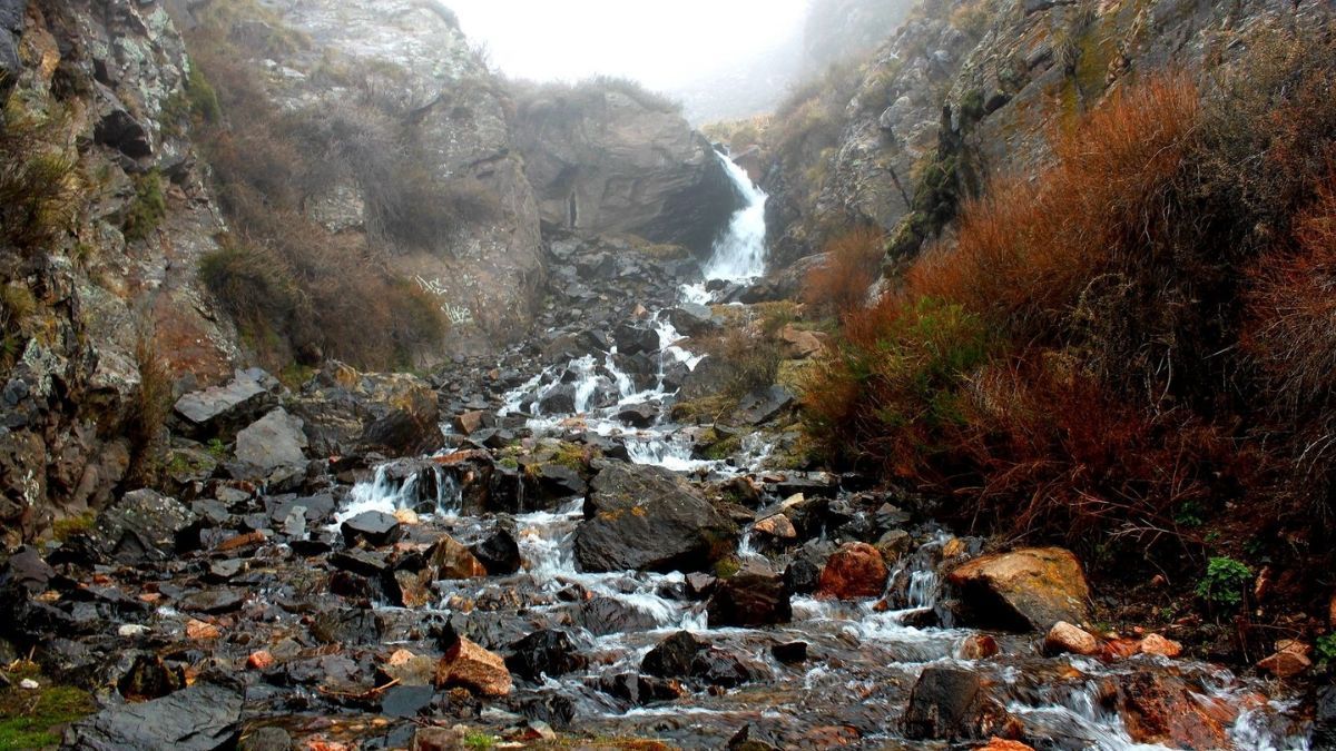 La Reserva Natural Divisadero Largo se encuentra a solo 8 kilómetros del centro de la ciudad y es ideal para una salida corta en familia. La Reserva Natural Divisadero Largo se encuentra a solo 8 kilómetros del centro de la ciudad y es ideal para una salida corta en familia.