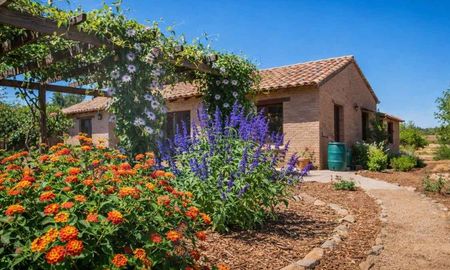 Las plantas nativas de Santa Fe requieren hasta un 70% menos de riego que las especies importadas durante el verano. Las plantas nativas de Santa Fe requieren hasta un 70% menos de riego que las especies importadas durante el verano.