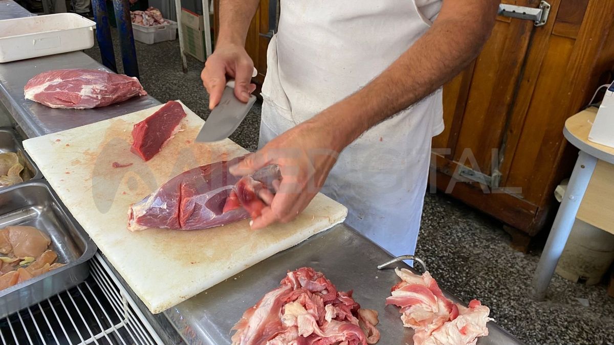 El Indec difundirá el IPC del segundo mes de 2024 que reflejaría una mayor presión de los precios del rubro alimenticio, en particular de la carne. El Indec difundirá el IPC del segundo mes de 2024 que reflejaría una mayor presión de los precios del rubro alimenticio, en particular de la carne.