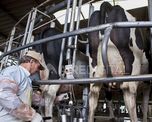 En la segunda joranda de Expoagro 2025 se realizó el conversatorio “De regreso a la FIL, ¿por qué es importante la participación de Argentina?”. En la segunda joranda de Expoagro 2025 se realizó el conversatorio “De regreso a la FIL, ¿por qué es importante la participación de Argentina?”.