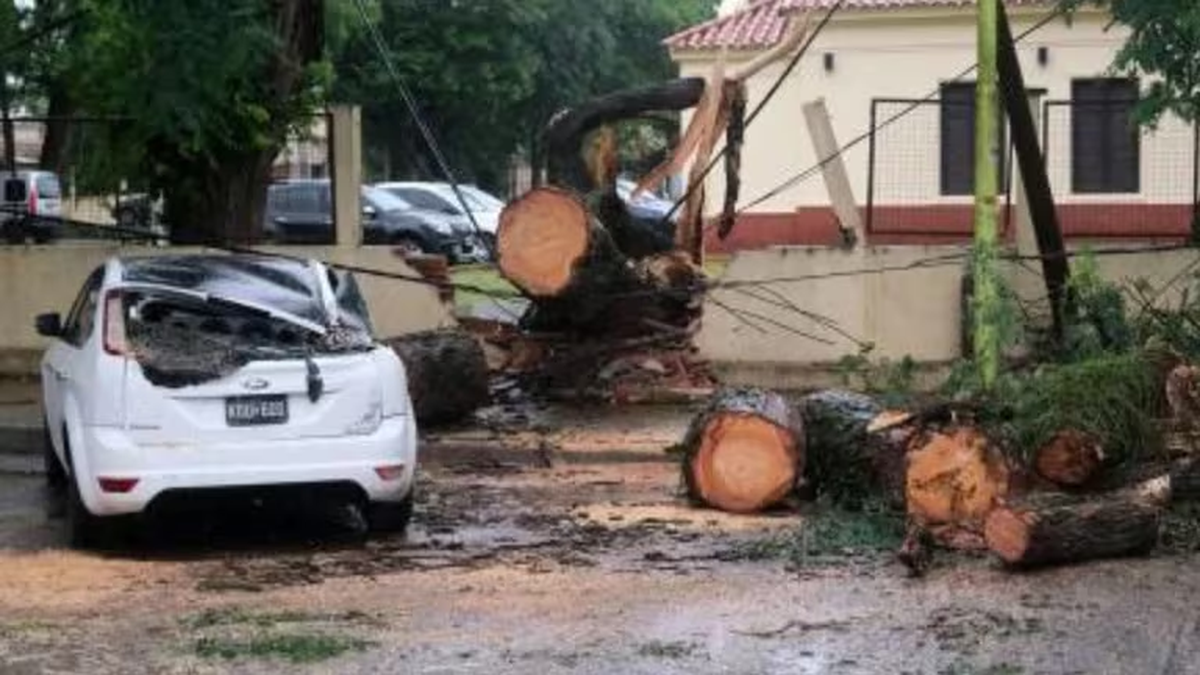 La intendente aseguró que los costos de reparación serán millonarios (Télam) La intendente aseguró que los costos de reparación serán millonarios (Télam)
