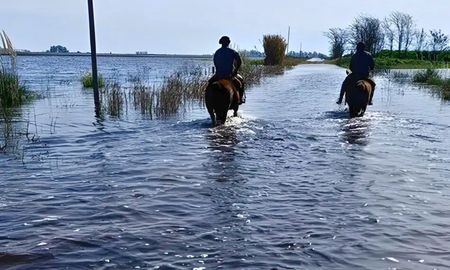 inundaciones en 9 de julio: cierran tambos, se detiene la industria y exigen obras hidricas inundaciones en 9 de julio: cierran tambos, se detiene la industria y exigen obras hidricas