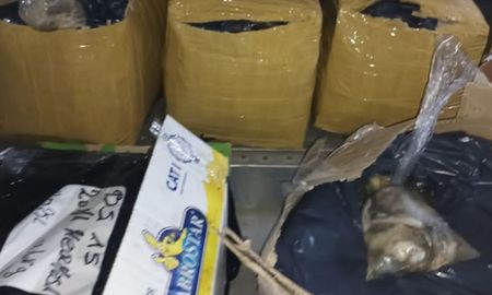 senasa decomiso 600 kilogramos de pulpa de ostras en un colectivo senasa decomiso 600 kilogramos de pulpa de ostras en un colectivo