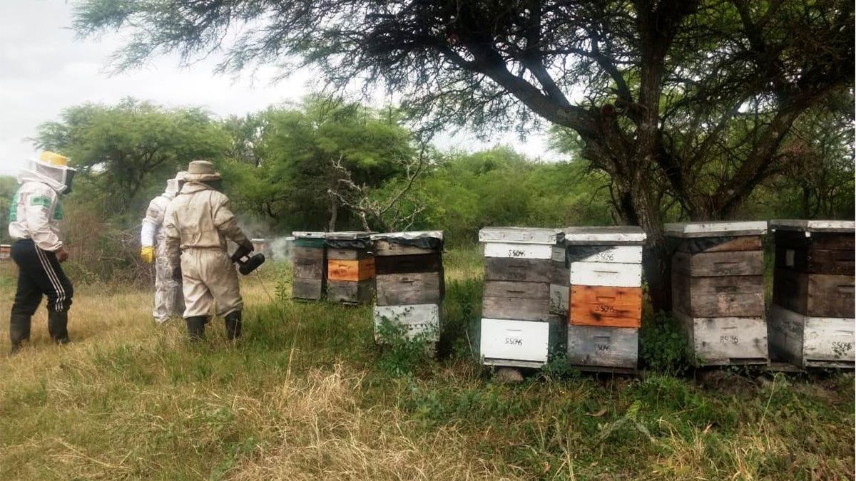 Efectivos de la policía de Seguridad Rural -Sección 7ma. de Calchaquí- secuestraron más de 77 cajones de colmenas de abejas