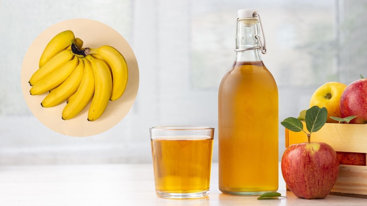 La cáscara de banana con vinagre tiene beneficios para tus plantas.
