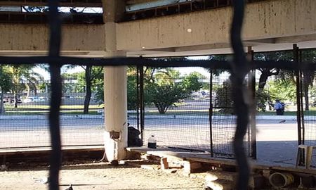 comenzaron las obras en el palomar: sacaron 800 kilos de excremento y plumas de aves comenzaron las obras en el palomar: sacaron 800 kilos de excremento y plumas de aves