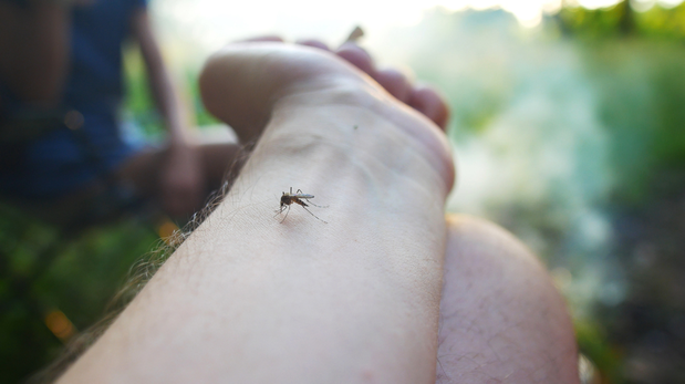 Aire de Santa Fe | Dengue1.png