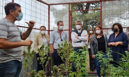 La ministra de Salud, Carla Vizzotti, recorrió este viernes por la tarde la feria Expo Cannabis. La ministra de Salud, Carla Vizzotti, recorrió este viernes por la tarde la feria Expo Cannabis.