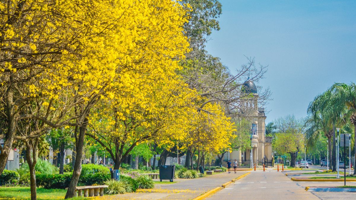 Descubrí esta&nbsp; localidad pintoresca escondida en el norte de Santa Fe.