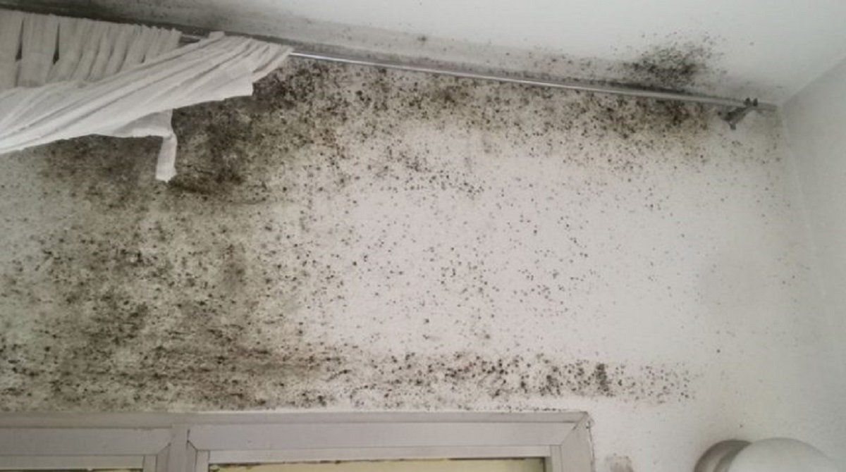 Los problemas de humedad pueden ser uno de los problemas más comunes actualmente. Los problemas de humedad pueden ser uno de los problemas más comunes actualmente.