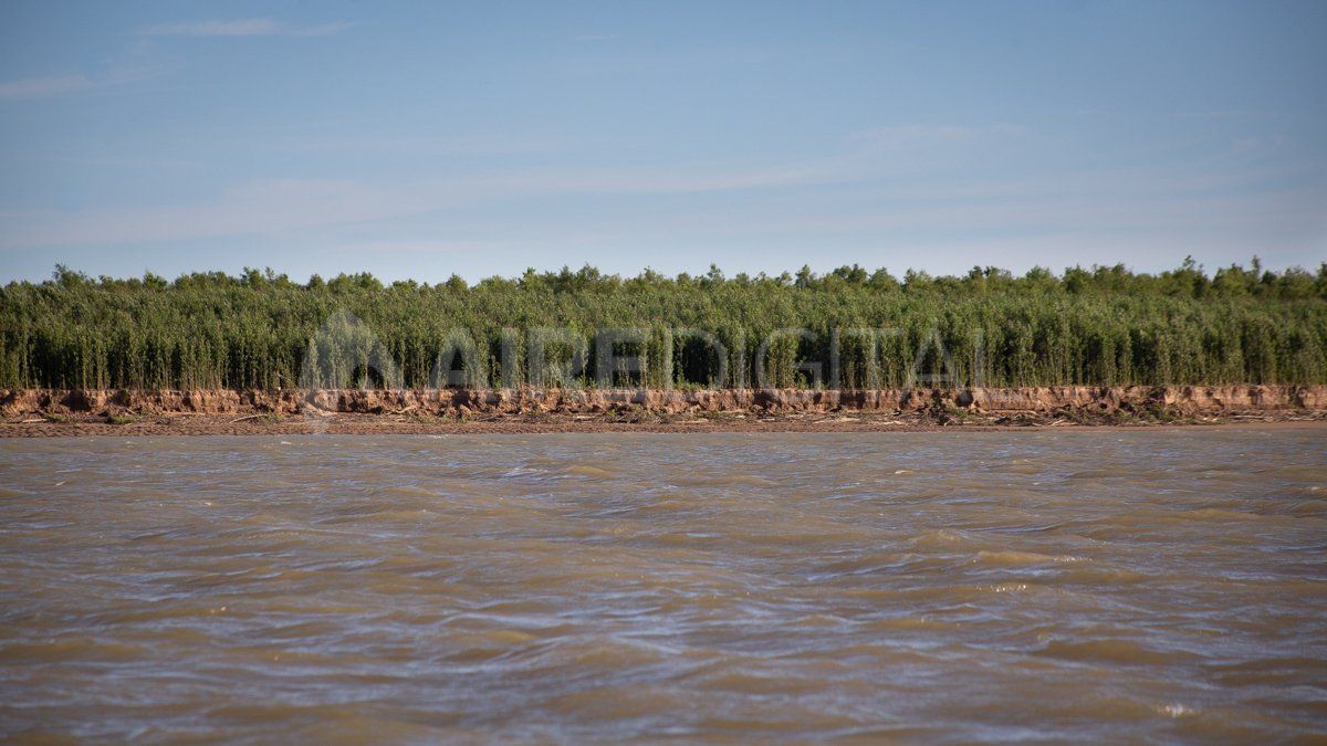 Con el tránsito de los enormes buques aumenta la erosión sobre las islas y la costa.