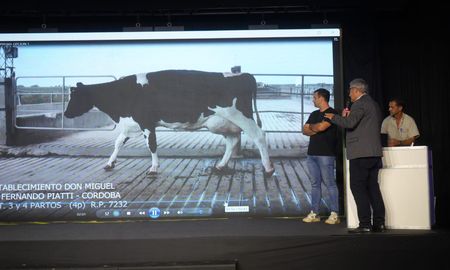 La Vaca Suprema de TodoLáctea 2025 pertenece al establecimiento Don Miguel, de Sacanta, Córdoba. La Vaca Suprema de TodoLáctea 2025 pertenece al establecimiento Don Miguel, de Sacanta, Córdoba.
