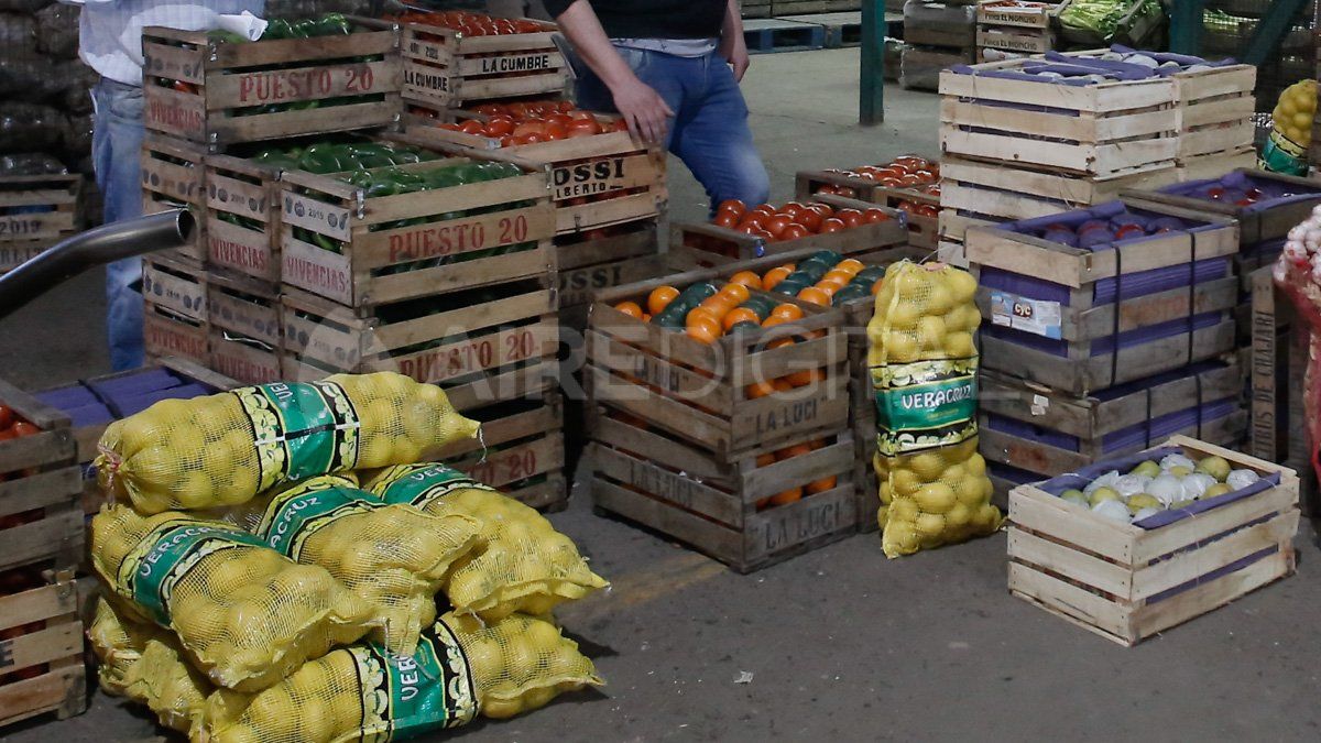 En un relevamiento que realiz&oacute; un abogado ambientalista en Rosario
