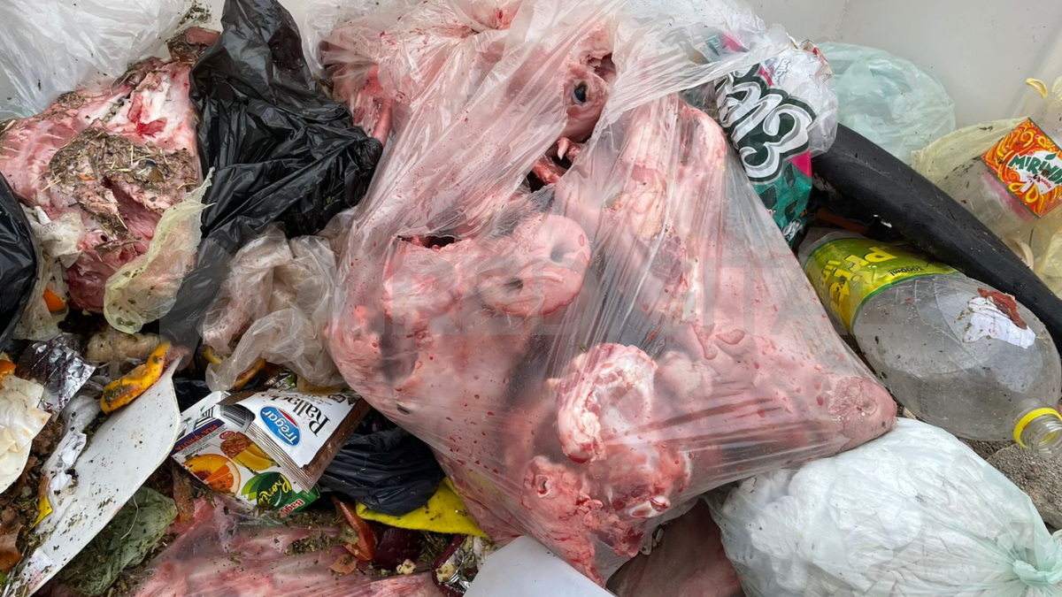 Los restos fueron retirados.