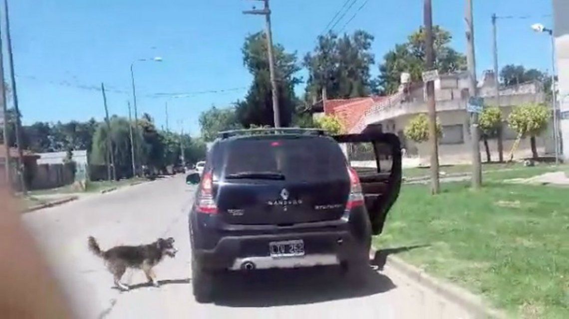 Un perro abandonado persiguió el auto de sus dueños por 15 cuadras y ni se inmutaron