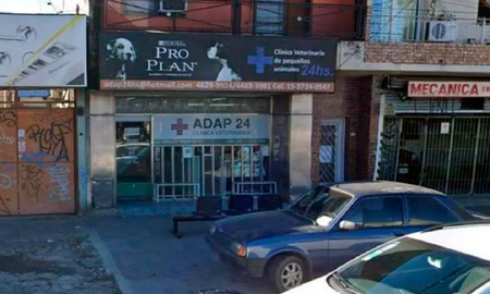 Una pareja atacó a golpes a un veterinario porque su caniche murió y el hombre se encuentra en grave estado Una pareja atacó a golpes a un veterinario porque su caniche murió y el hombre se encuentra en grave estado