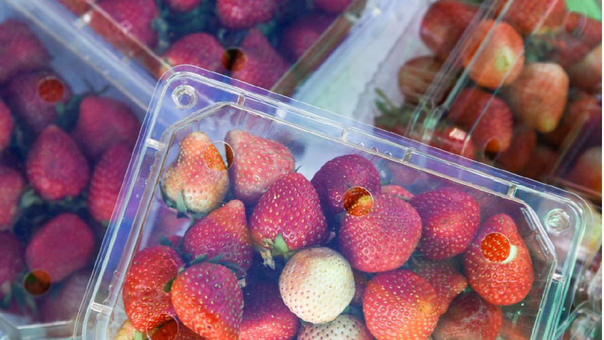 Se busca lograr alternativas para un comercio sostenible y las frutas serán exhibidas de otra manera. 