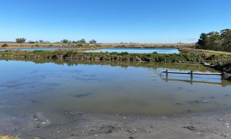 Las aguas residuales urbanas de la ciudad de San Justo registraron el virus del covid. Las aguas residuales urbanas de la ciudad de San Justo registraron el virus del covid.