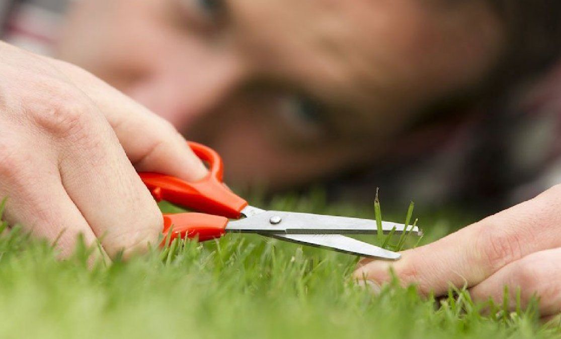 Horóscopo: signos zodiacales más perfeccionistas