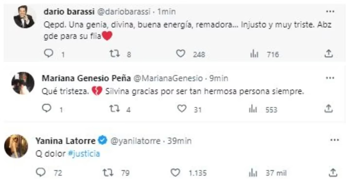 Amigos y conocidos despidieron a Silvina Luna en las redes. Amigos y conocidos despidieron a Silvina Luna en las redes.